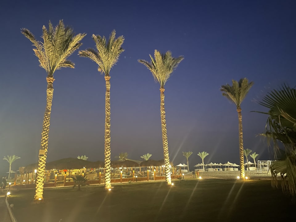 Gastro Three Corners Sea Beach Resort