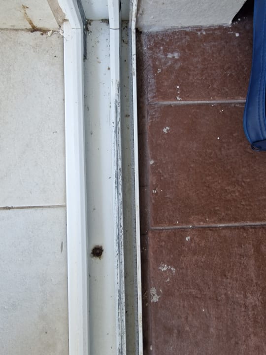 Zimmer Domes Aulūs Zante, Autograph Collection