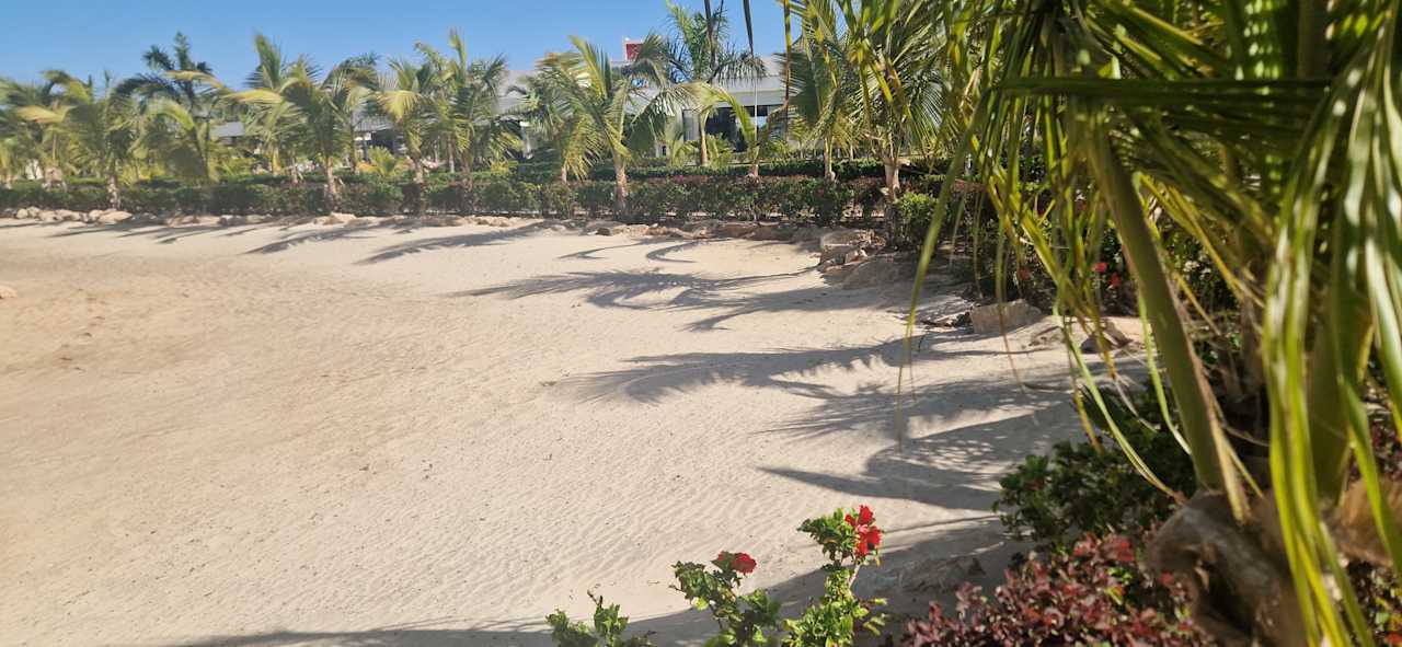 Gartenanlage Hotel Riu Palace Santa Maria