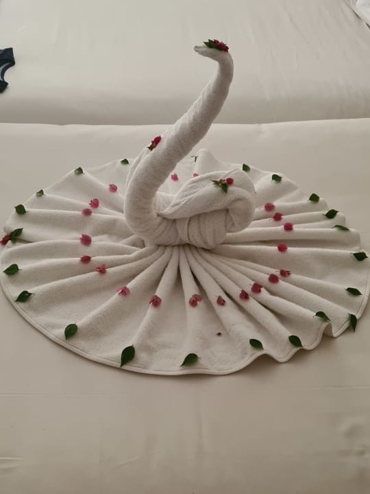 Zimmer Imperial Shams Abu Soma