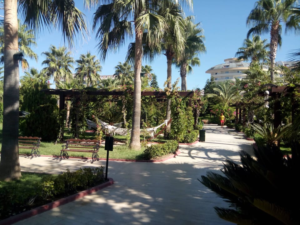 Immer sehr gepflegt Saphir Resort & Spa