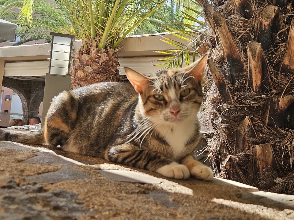 Sport & Freizeit High Beach Resort