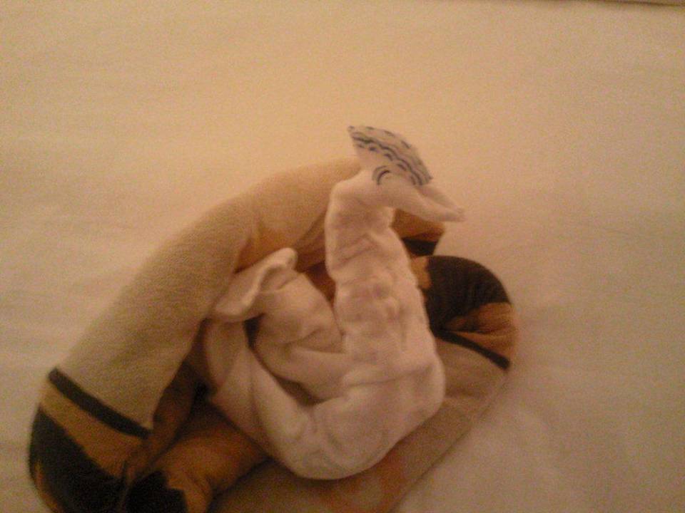 Plus Ghazala Gardens