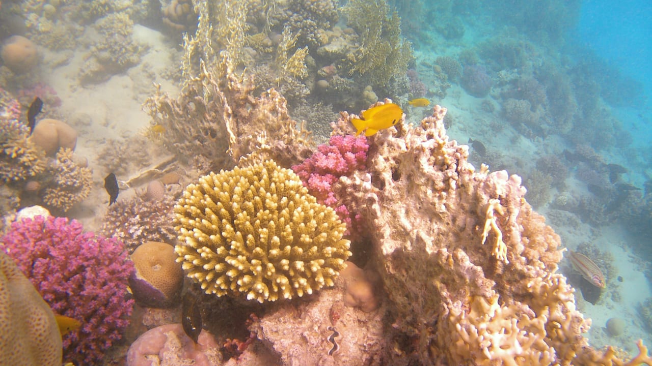 Sport & Freizeit Makadi Spa - Adults only