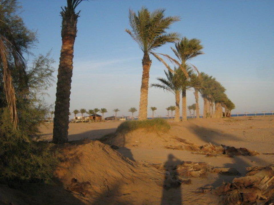 Droga na plazę Hotel Faraana Heights Resort