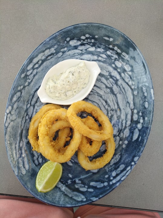 Gastro Paloma Finesse