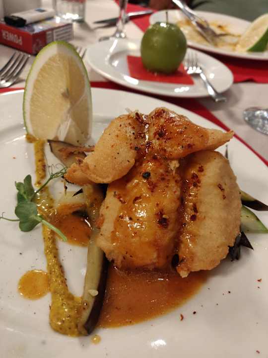 Gastro Seashell Vega