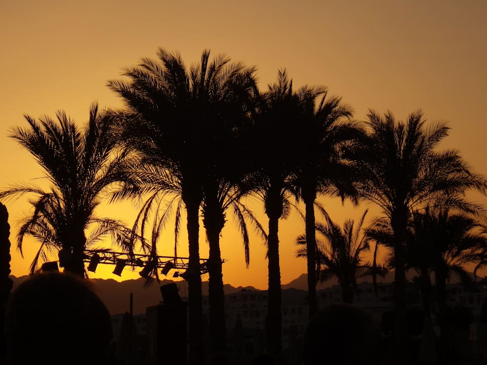 Abenstimmung an der Poolbar Sharm Plaza