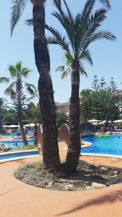 Interessant Playa Garden Selection Hotel & Spa
