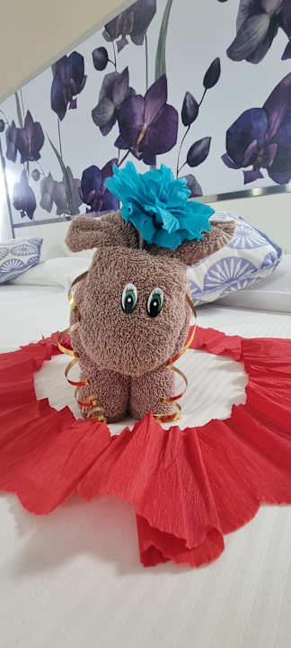 Zimmer Hotel Riu Playacar