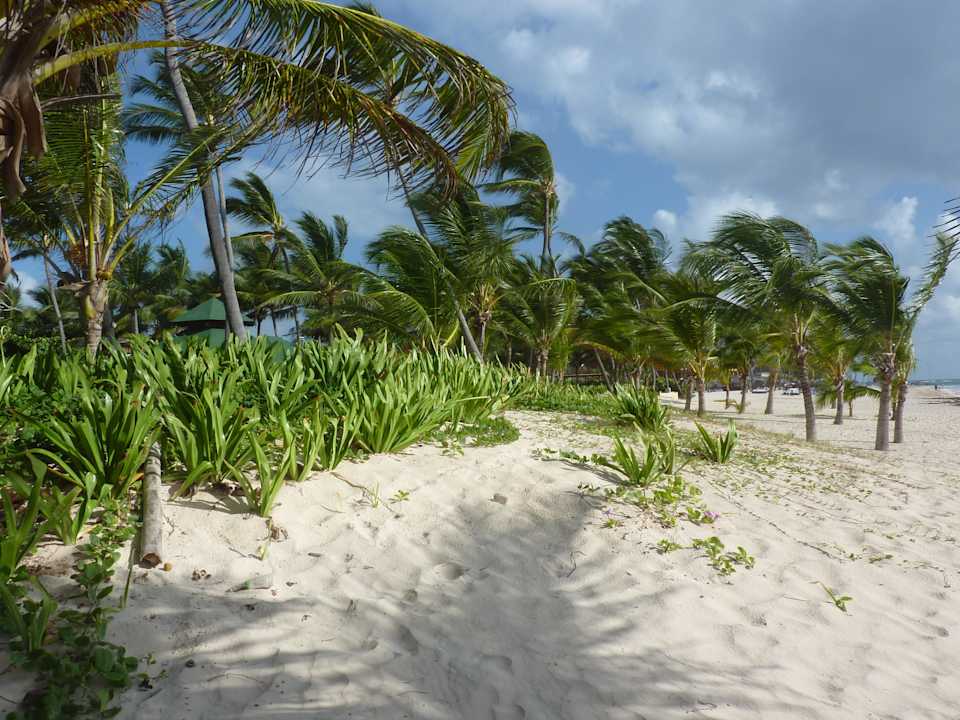 Strand Punta Cana Princess All Suites Resort & Spa