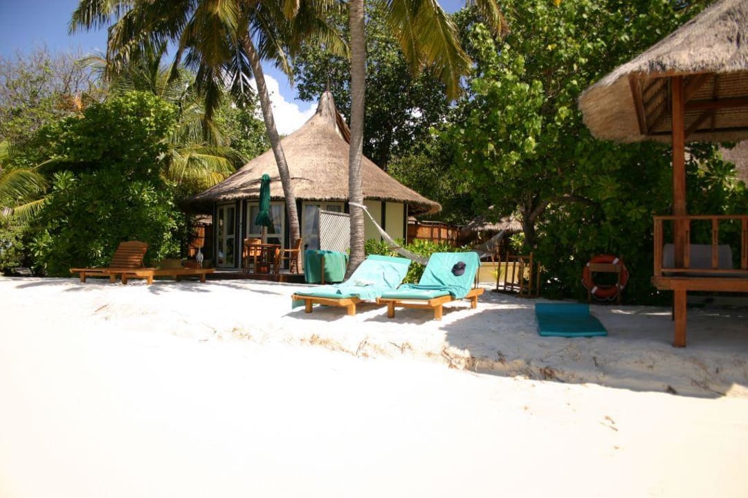 Beach Banyan Tree Vabbinfaru