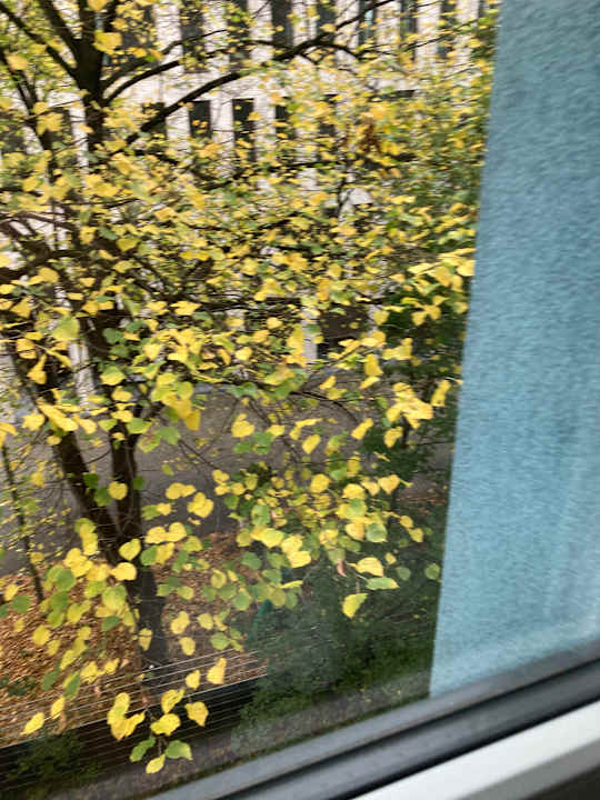 Ausblick ibis budget Köln Messe