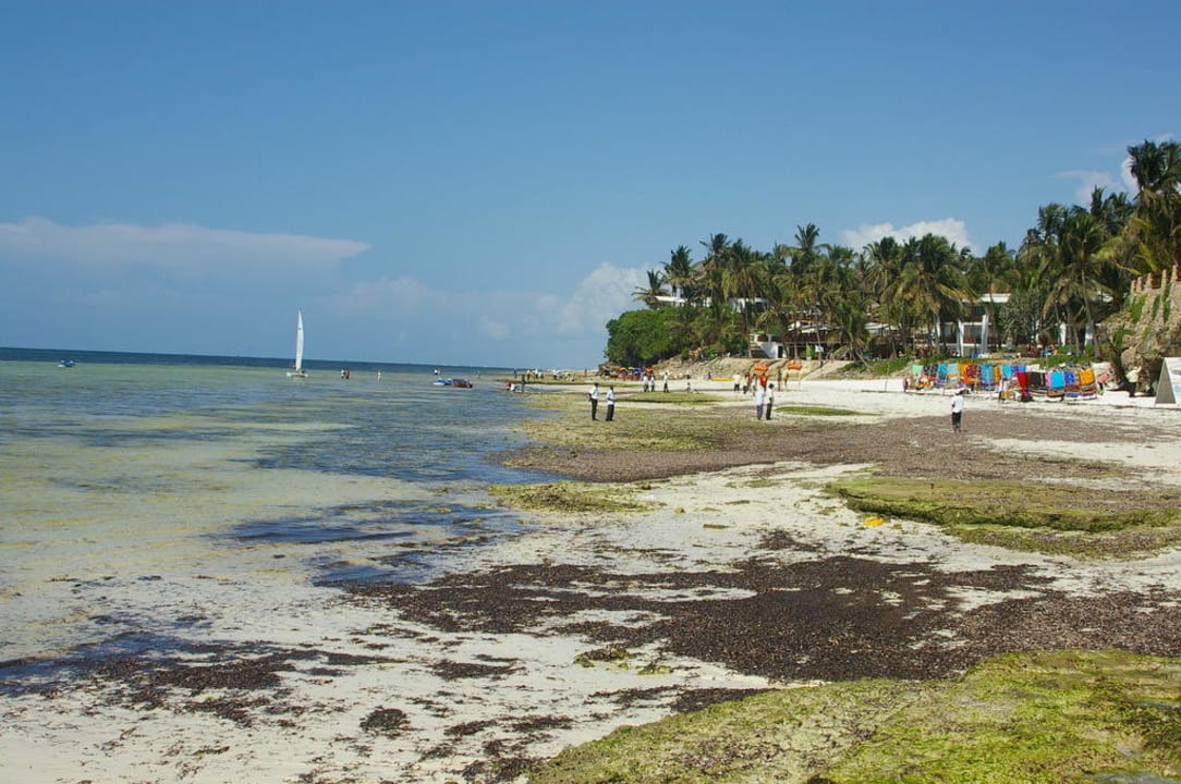 Hotel Bahari Beach Club Bahari Beach Hotel