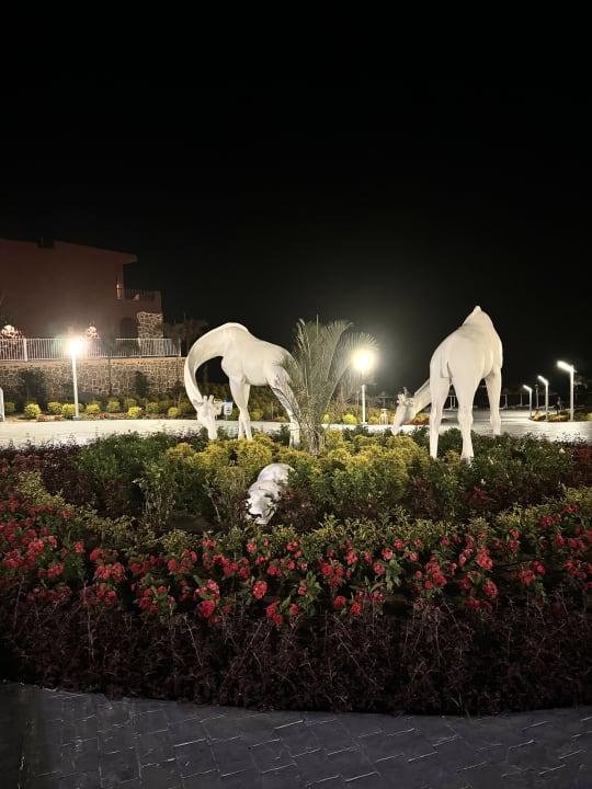 Gartenanlage Pickalbatros Vita Resort - Portofino Marsa Alam