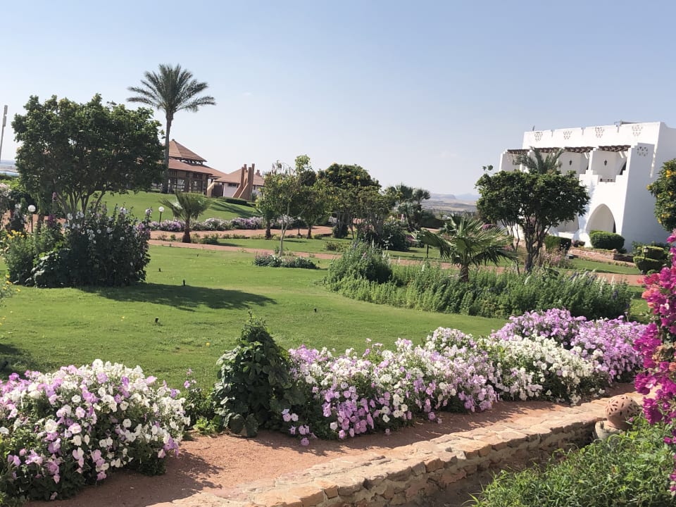 Gartenanlage Three Corners Equinox Beach Resort