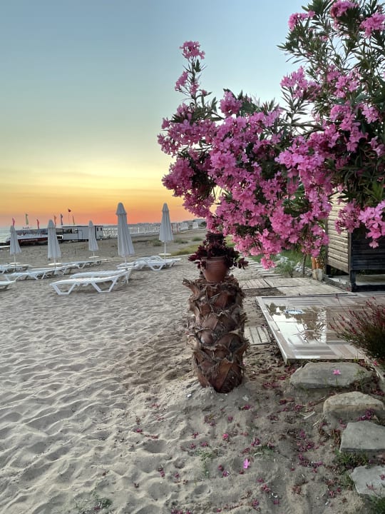 Strand Seaden Quality Resort & Spa