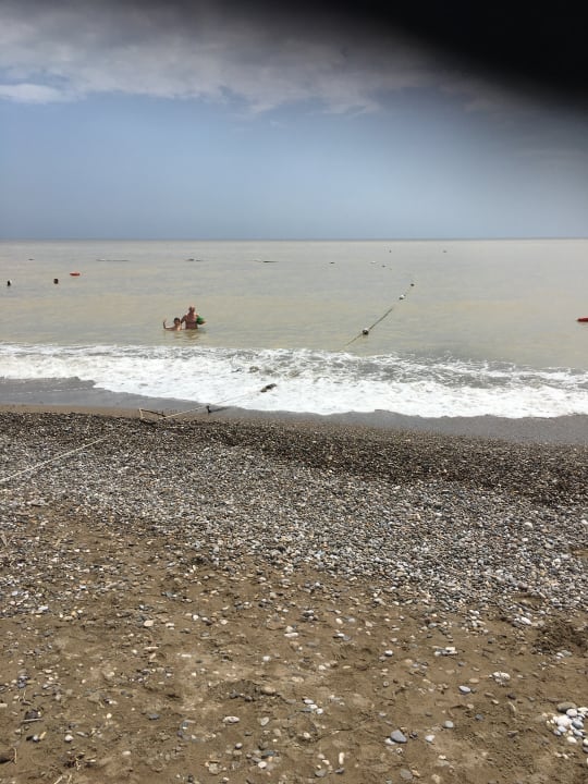 Strand Crystal Paraiso Aqua Collection