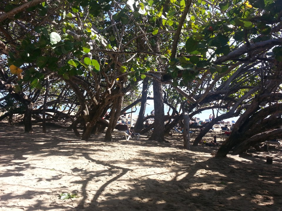 Strand Sunscape Puerto Plata