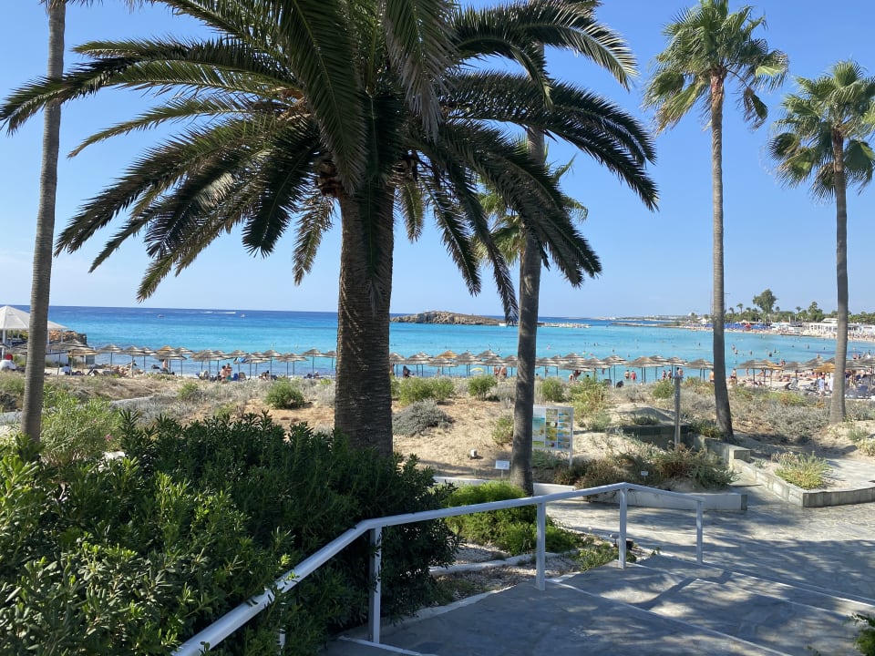 Ausblick Hotel Nissi Beach Resort