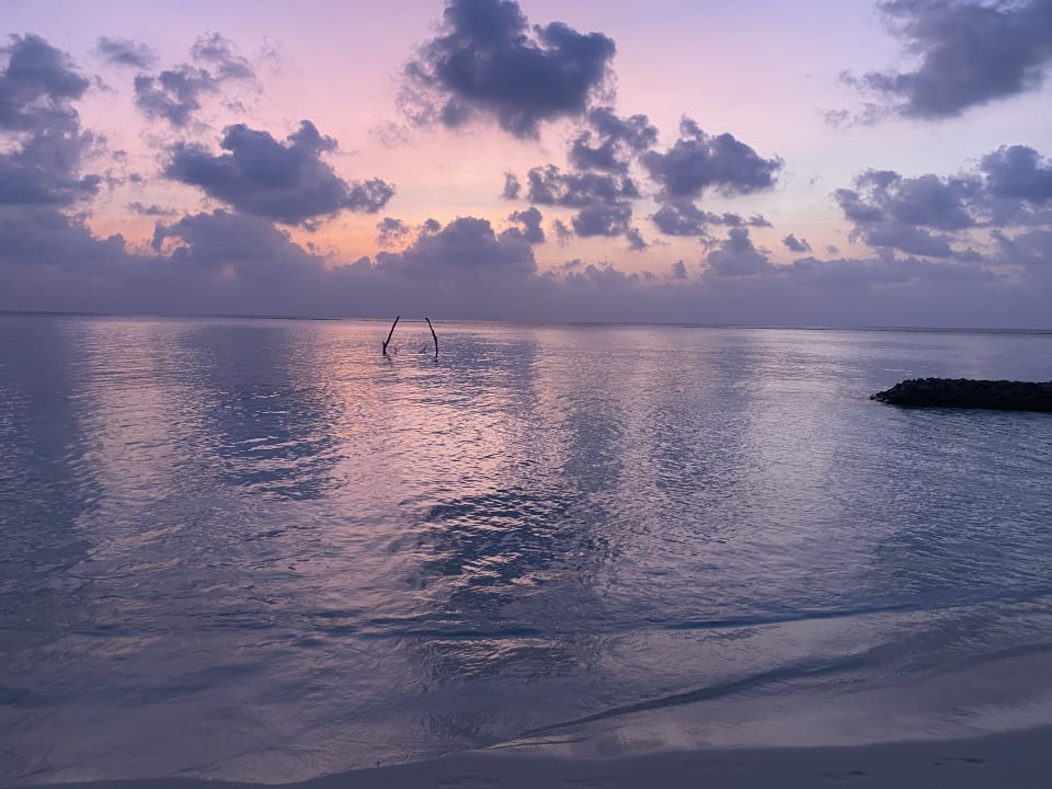 Strand Summer Island Maldives