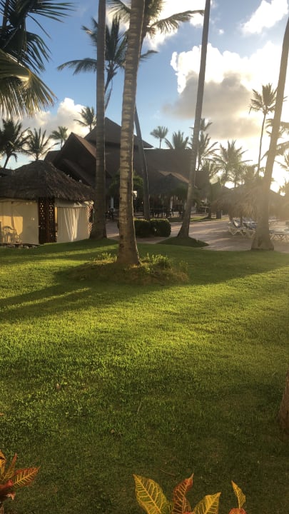 Gartenanlage Vik Hotel Arena Blanca & Cayena Beach