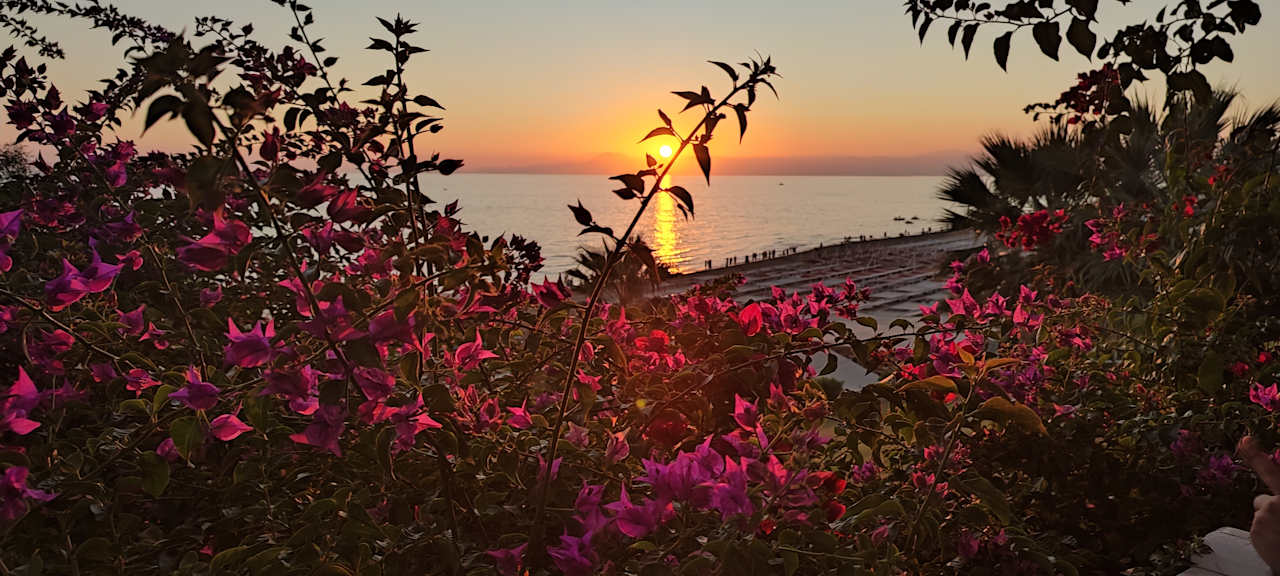 Ausblick Can Garden Resort