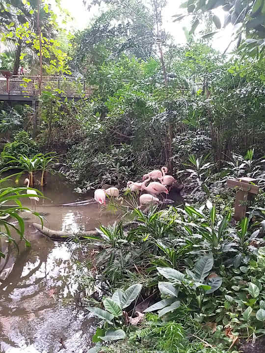 Gartenanlage Tropical Islands Resort