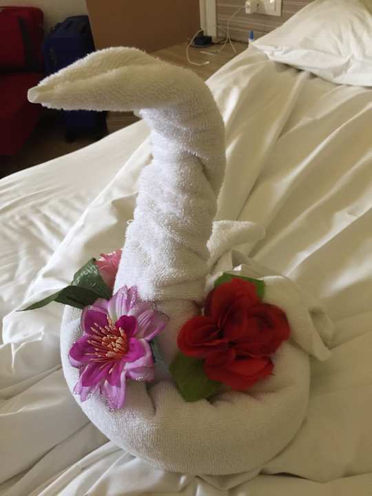 Außenansicht Hotel Delphin Imperial