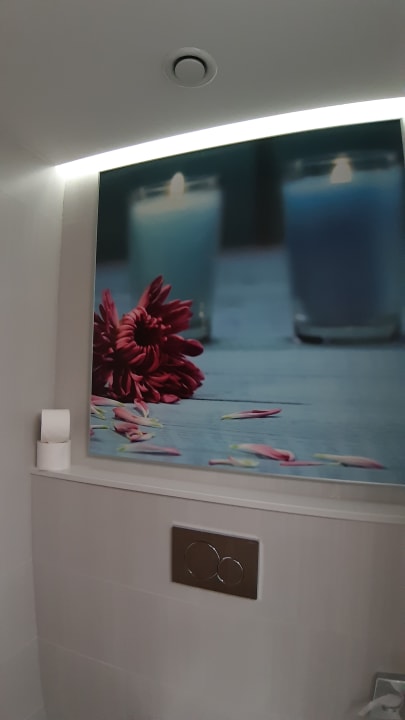 Zimmer Hotel Riu Palace Palmeras