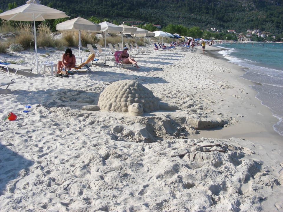 Plaża Hotel Ioannis Golden Club
