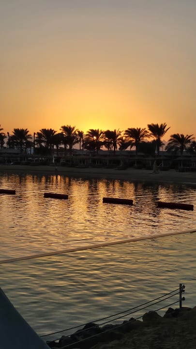 Ausblick Desert Rose