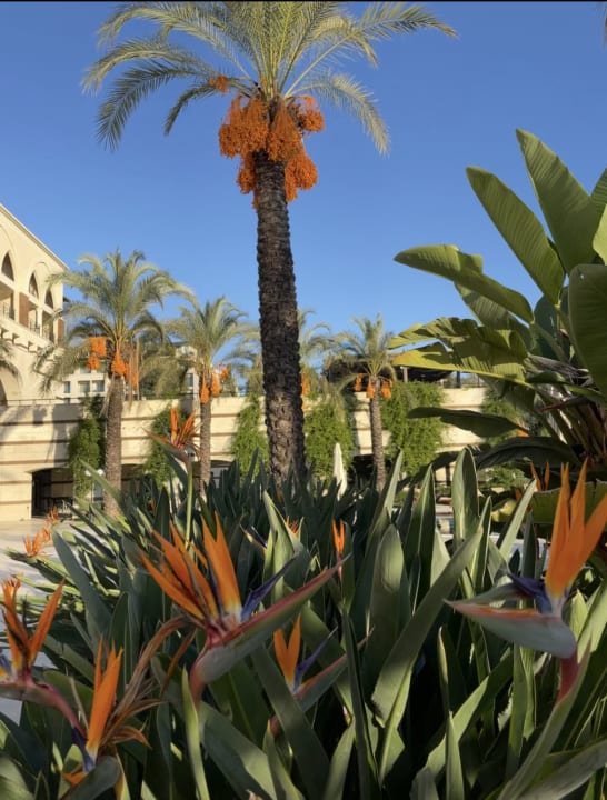 Gartenanlage Kempinski Hotel The Dome Belek