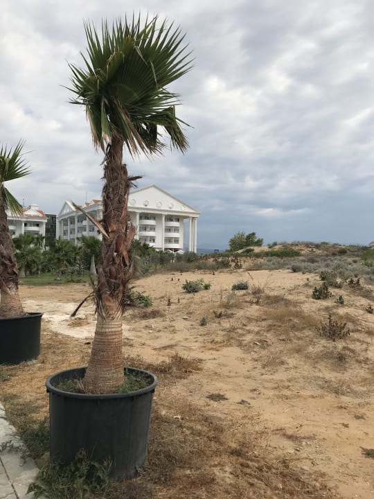 Außenansicht Roma Beach Resort & Spa 16+ Adult Only
