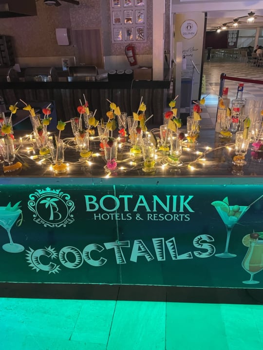 Pool Hotel Botanik Platinum