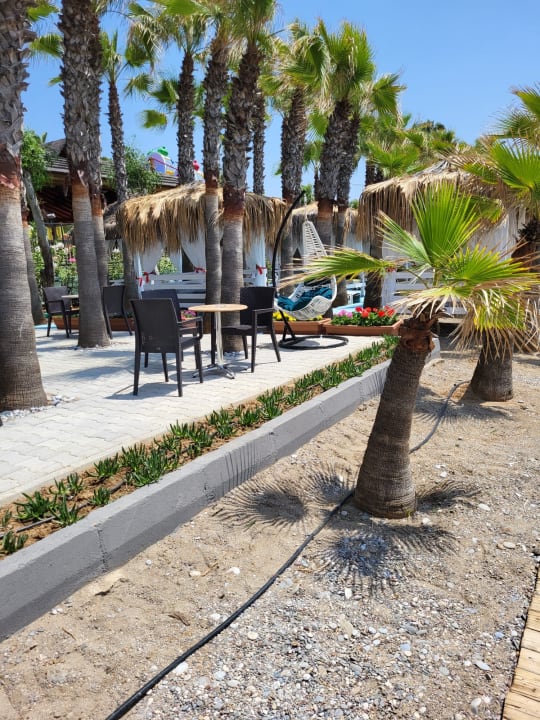 Gastro Delphin Deluxe Resort
