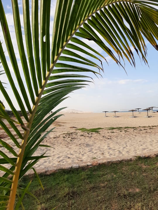 Ausblick Occidental Boa Vista Beach