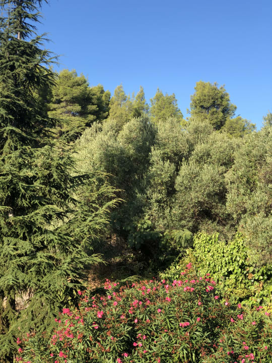 Ausblick Hotel Lagomandra Beach