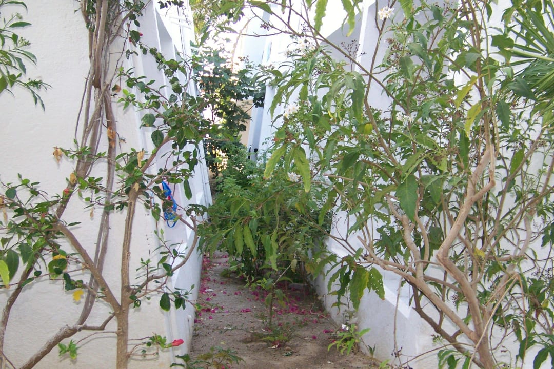 Hier kann man dem Nachbarn die Hand reichen The Club Hammamet