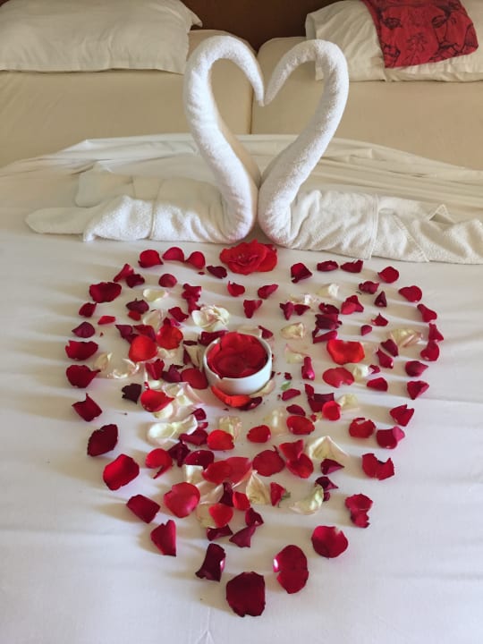 Zimmer Vincci Helios Beach