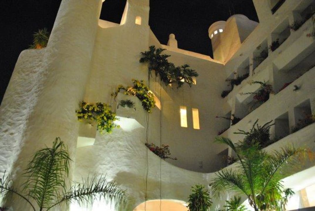 Abends Dreams Jardín Tropical