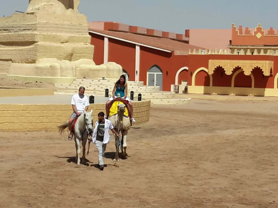 Im Hotel  Pickalbatros Alf Leila Wa Leila Resort - Neverland Hurghada