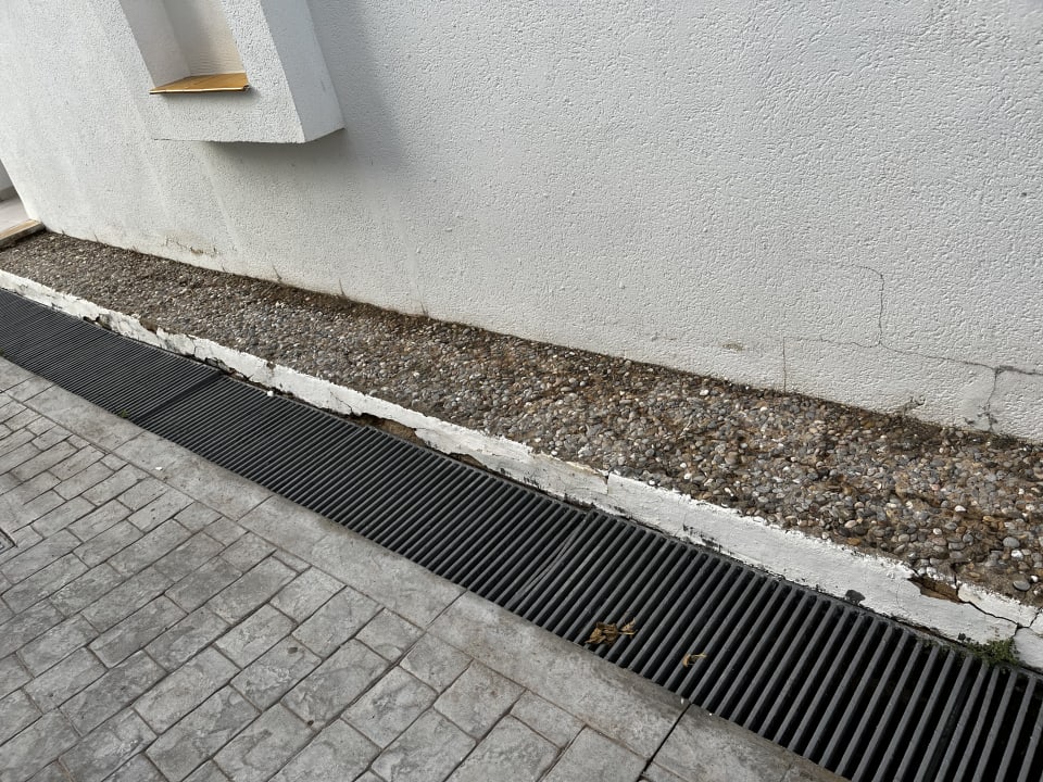 Sonstiges blau punta reina