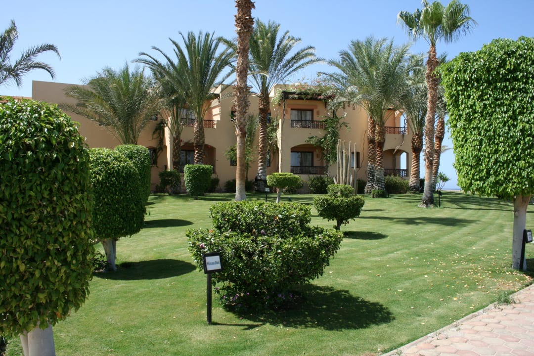 Garten Steigenberger Coraya Beach - Adults only