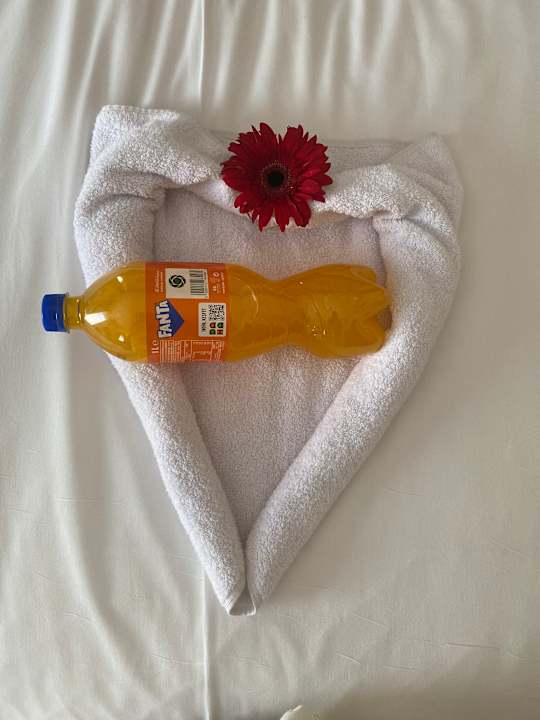 Zimmer AQI Pegasos World