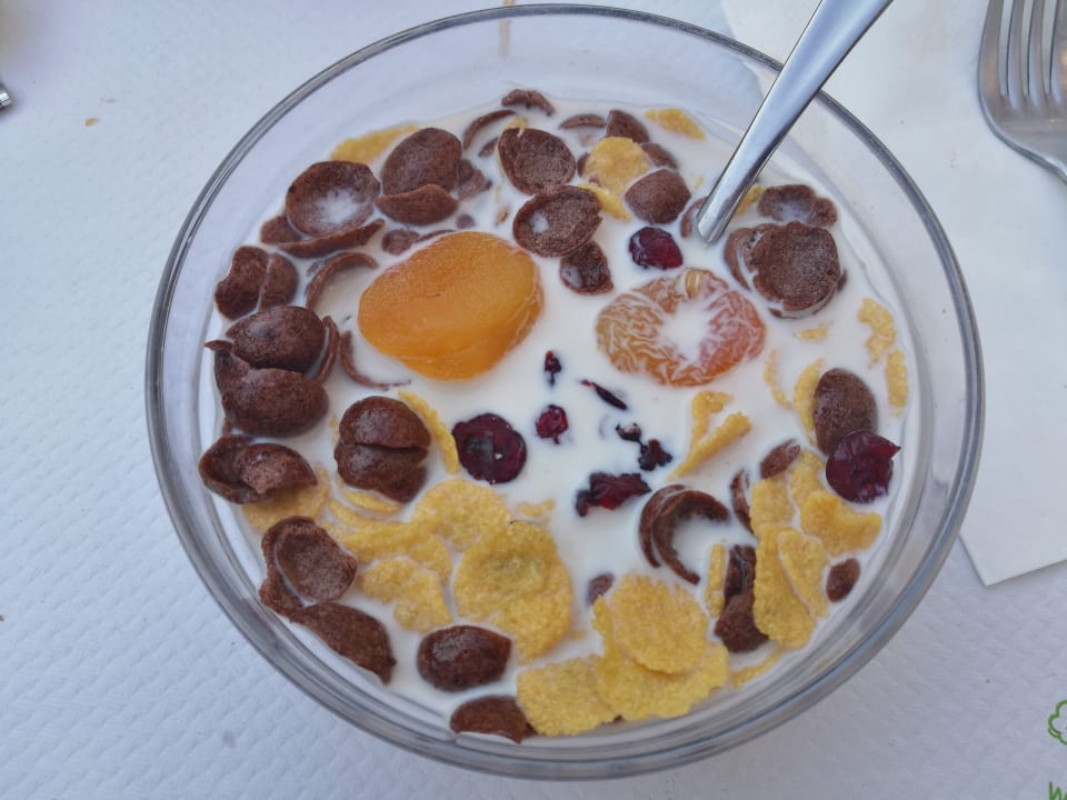 Gastro Hotel Palatino