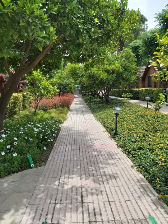 Gartenanlage Can Garden Beach