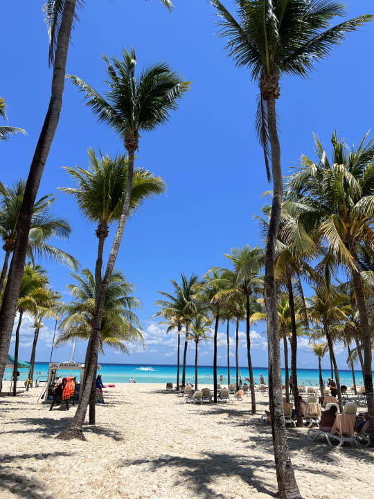 Strand Hotel Riu Palace Mexico Playa Del Carmen Playacar