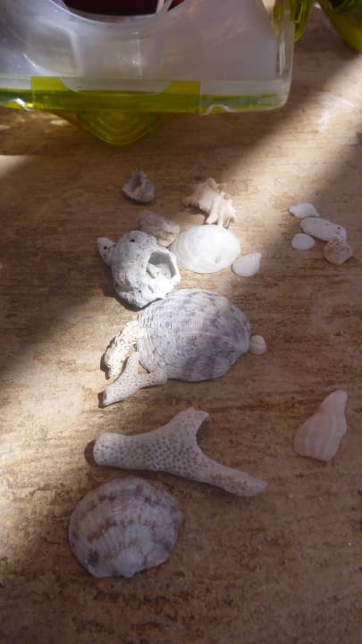 Strand Menaville Safaga