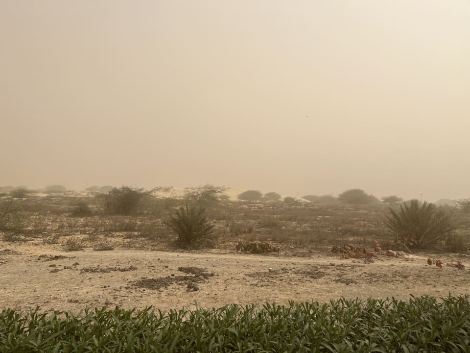 Ausblick Hotel Riu Karamboa
